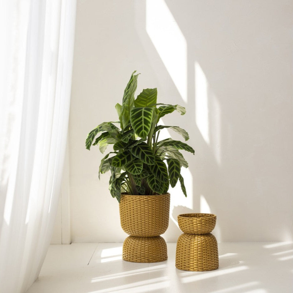 Twist Kollektion Pflanzkorb  - Ochre Yellow