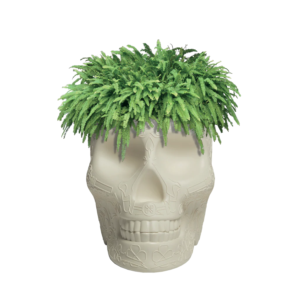 Mexico Pot - Pflanzgefäß und Champagnerkühler by Studio Job