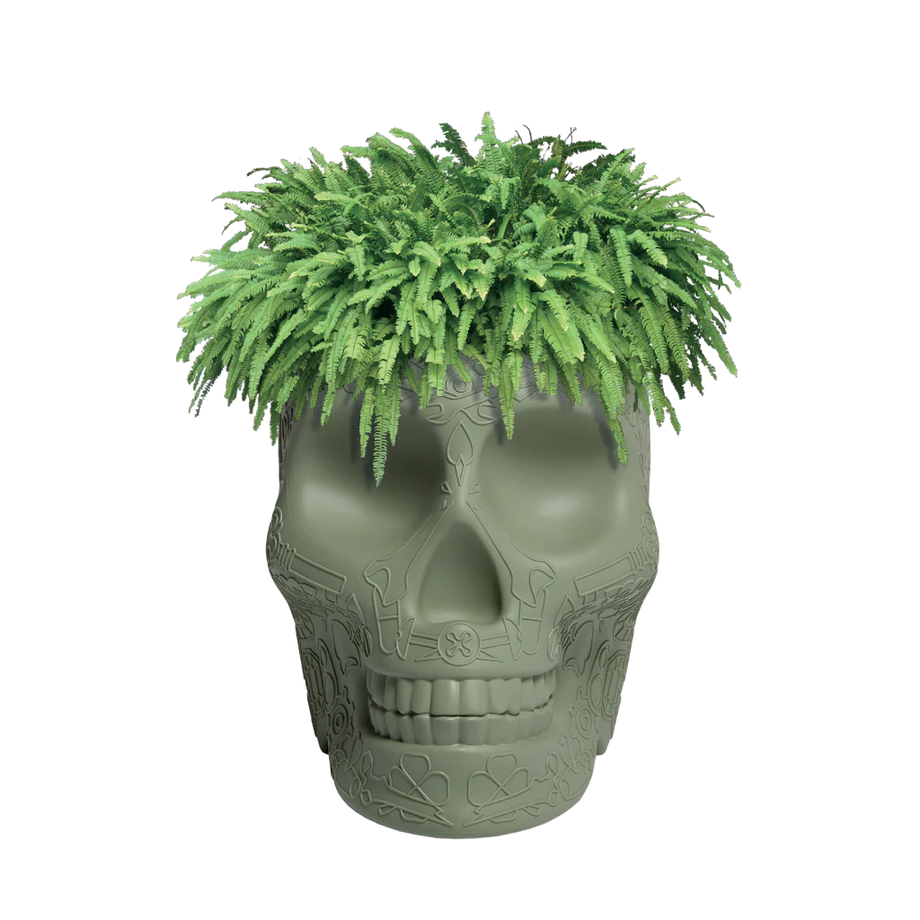 Mexico Pot - Pflanzgefäß und Champagnerkühler by Studio Job