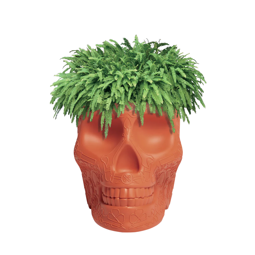 Mexico Pot - Pflanzgefäß und Champagnerkühler by Studio Job