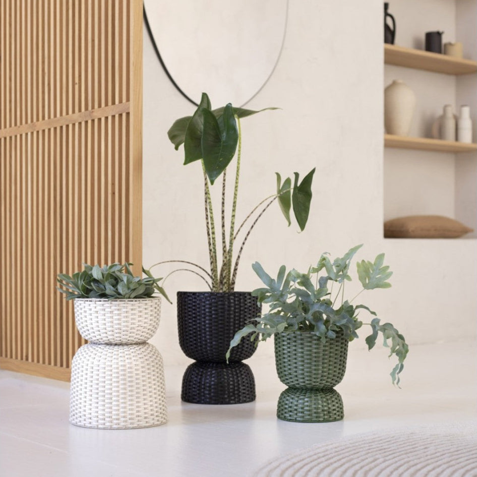 Twist Kollektion Pflanzkorb  -  Matcha Green