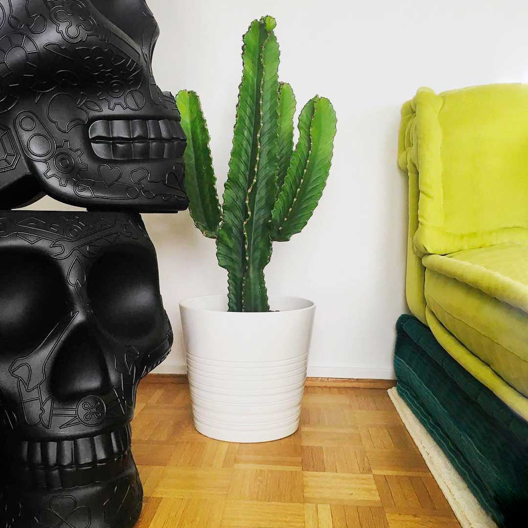 Mexico Pot - Pflanzgefäß und Champagnerkühler by Studio Job