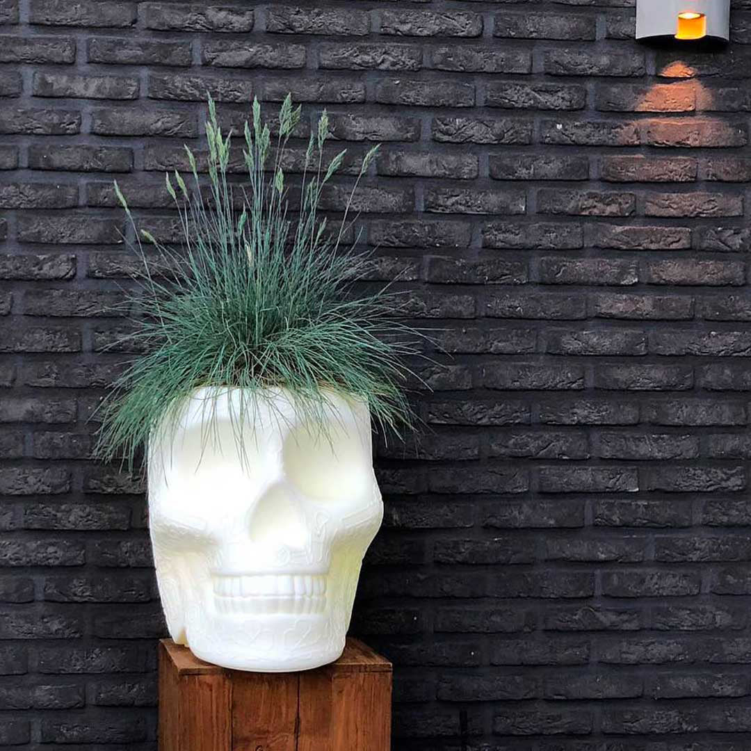 Mexico Pot - Pflanzgefäß und Champagnerkühler by Studio Job